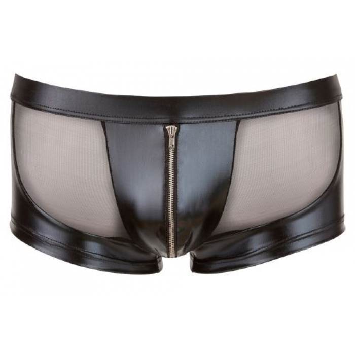 Wetlook-Net Pants with Zip - Image 5