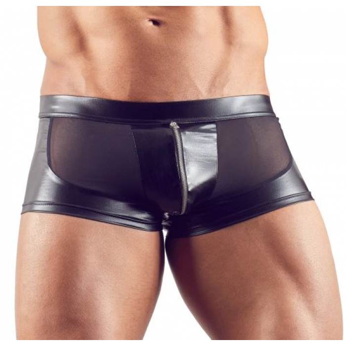 Wetlook-Net Pants with Zip - Image 4
