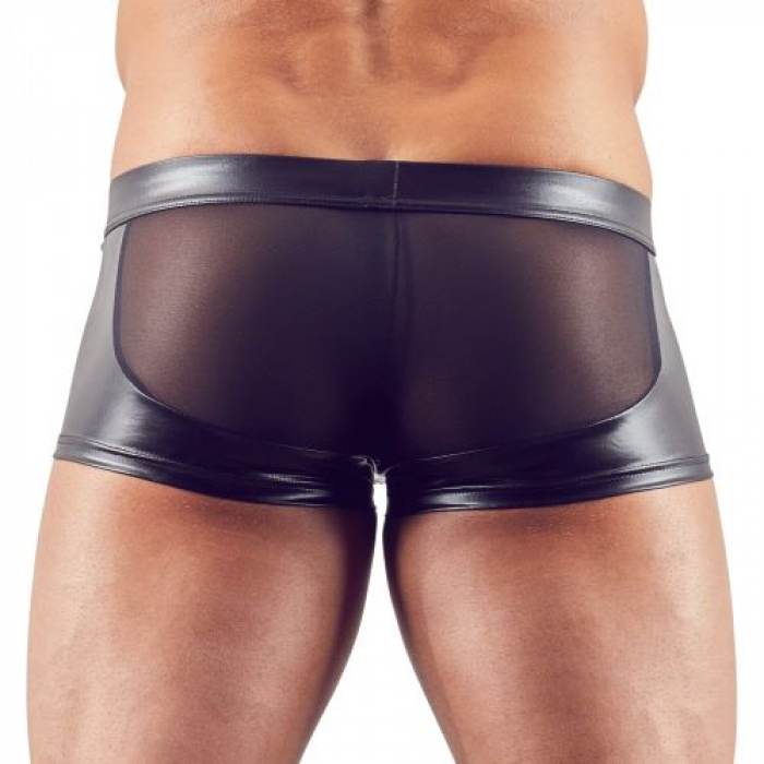 Wetlook-Net Pants with Zip - Image 3