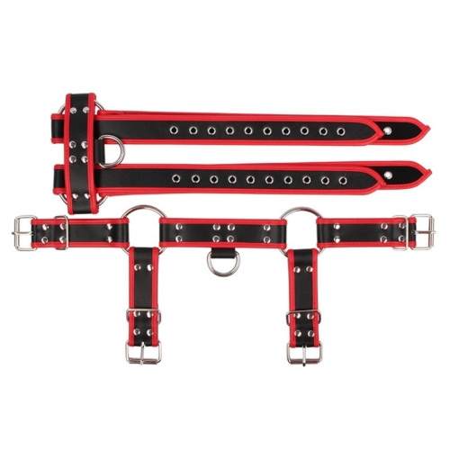 LEATHER BODY CHEST BULLDOG HARNESS BLACK/RED LEATHER - Image 7