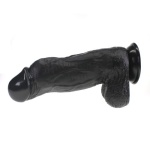 Adam’s Cock  με την  Τεραστια Περίμετρο του των 10 ιντσών - Image 2