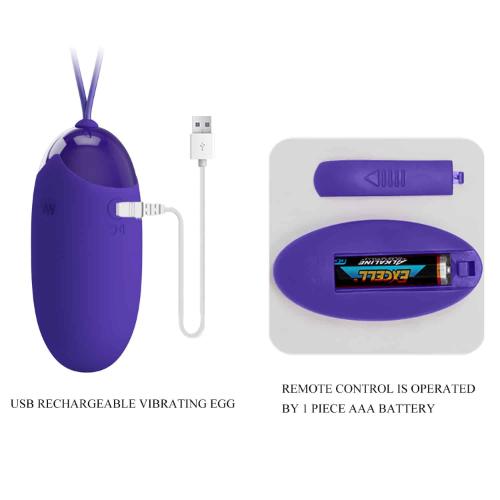 Pretty Love BERGER YOUTH Remote controlled Egg Vibrator BLUE - Image 6